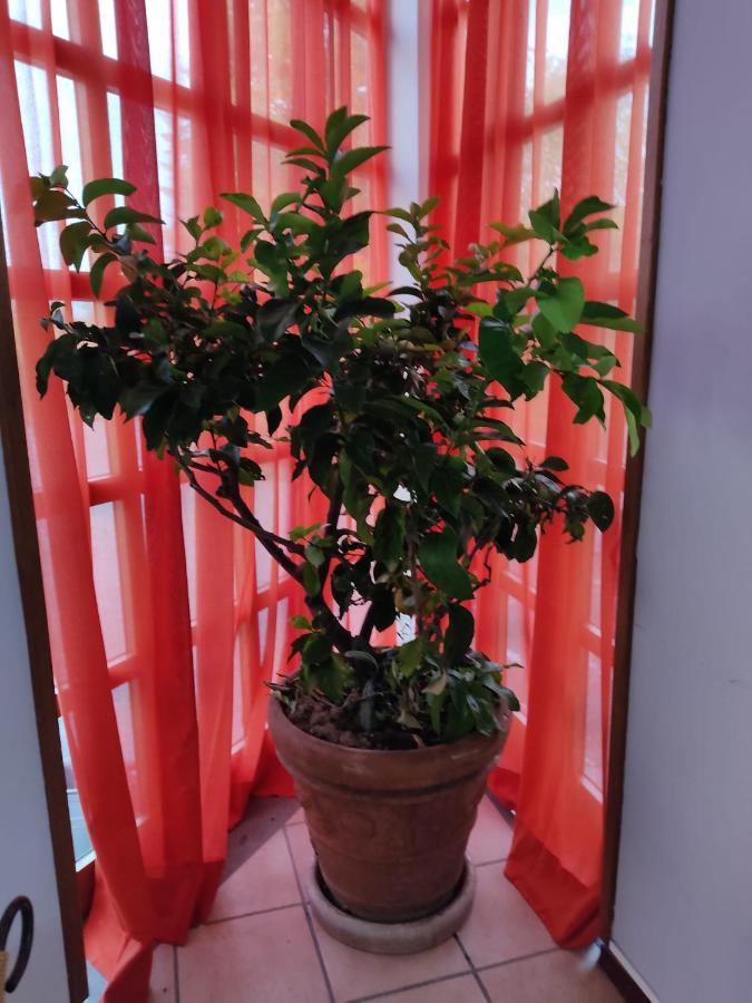 Castelnuovo Rangone Hotel La Vela מראה חיצוני תמונה